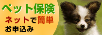 k_banner