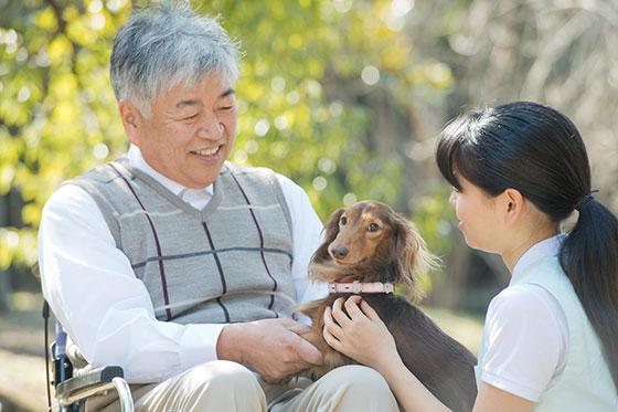 動物ふれあい訪問活動