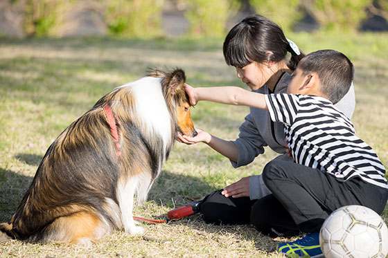 動物愛護教室