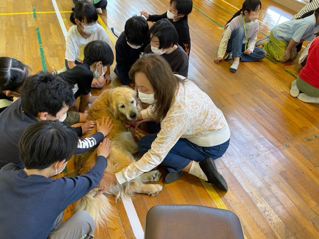 image12