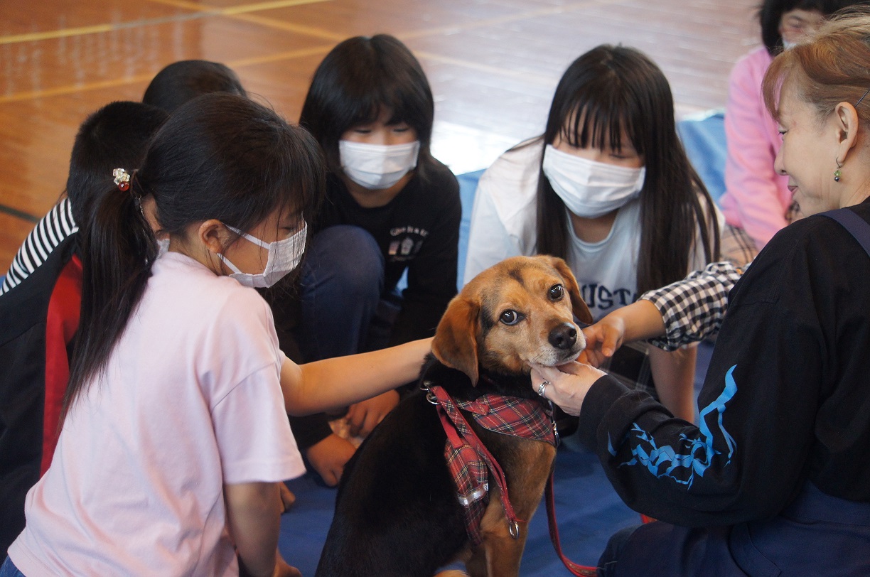 動物愛護教室