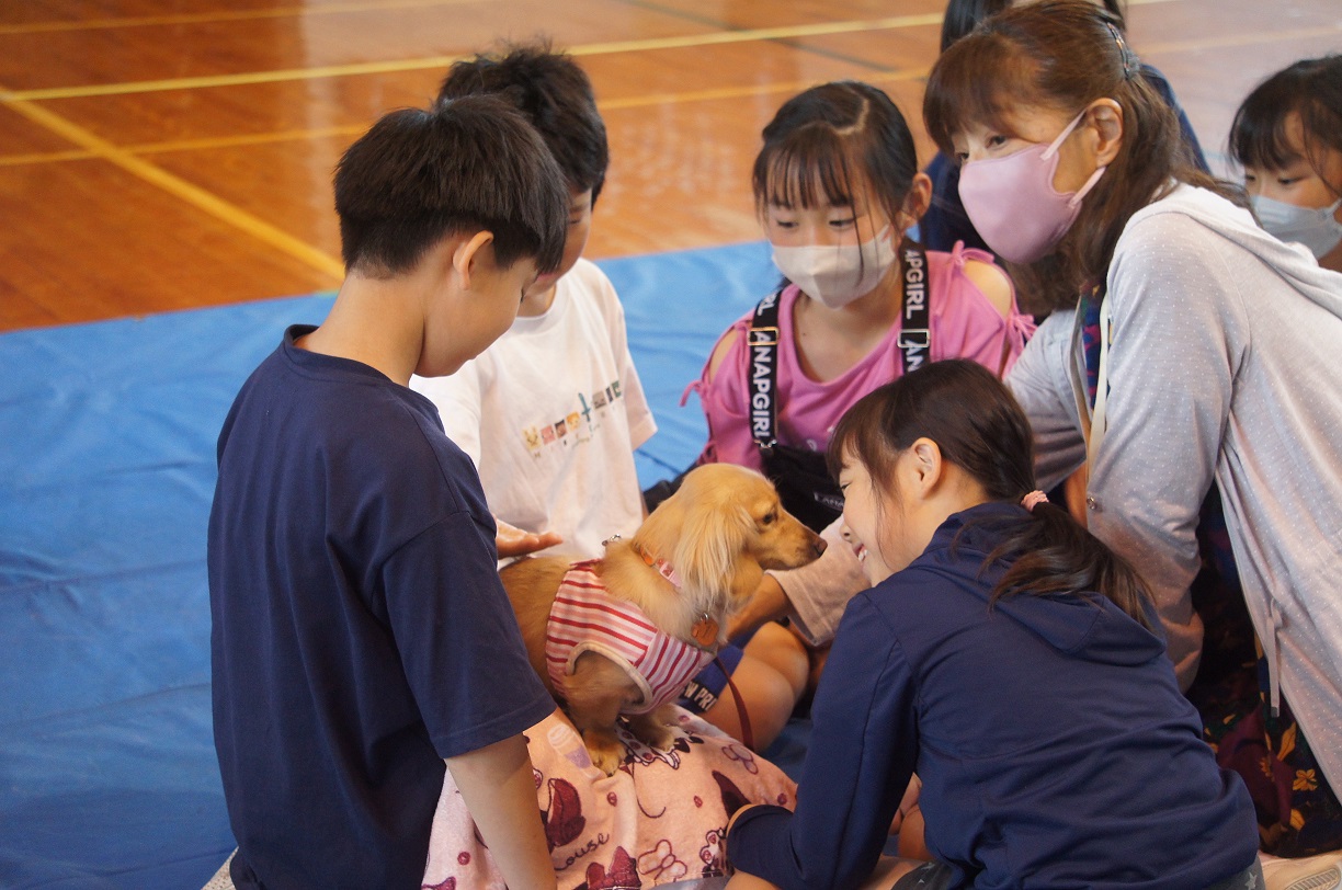  動物愛護教室
