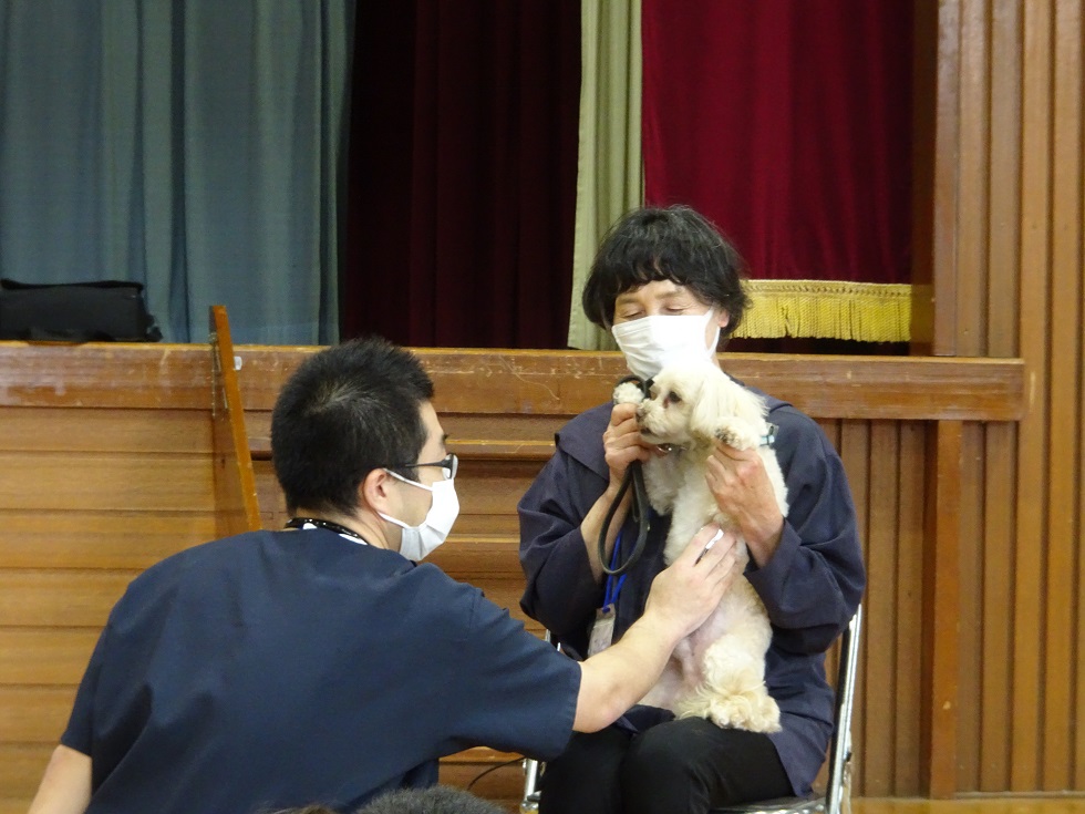 池小 (2)