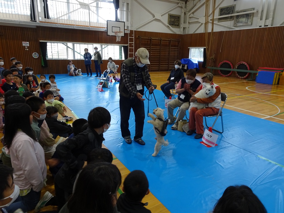 池小 (3)