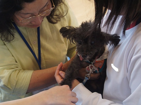 動物愛護教室