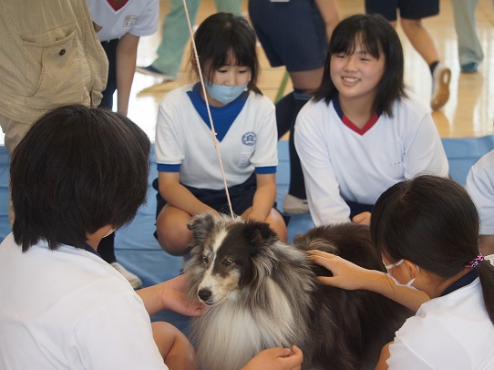 動物愛護教室