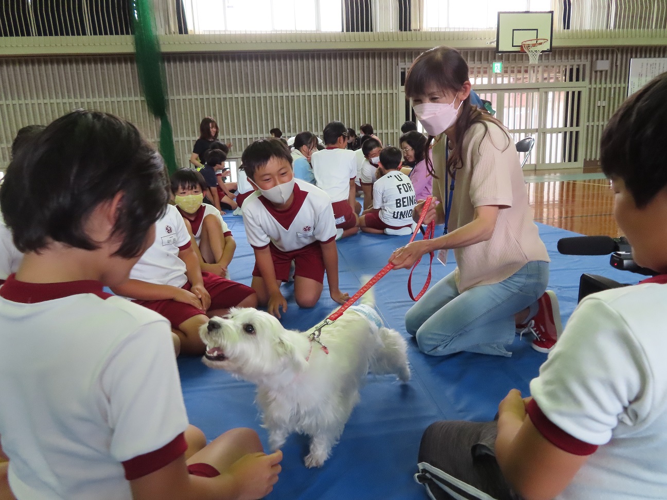 動物愛護教室