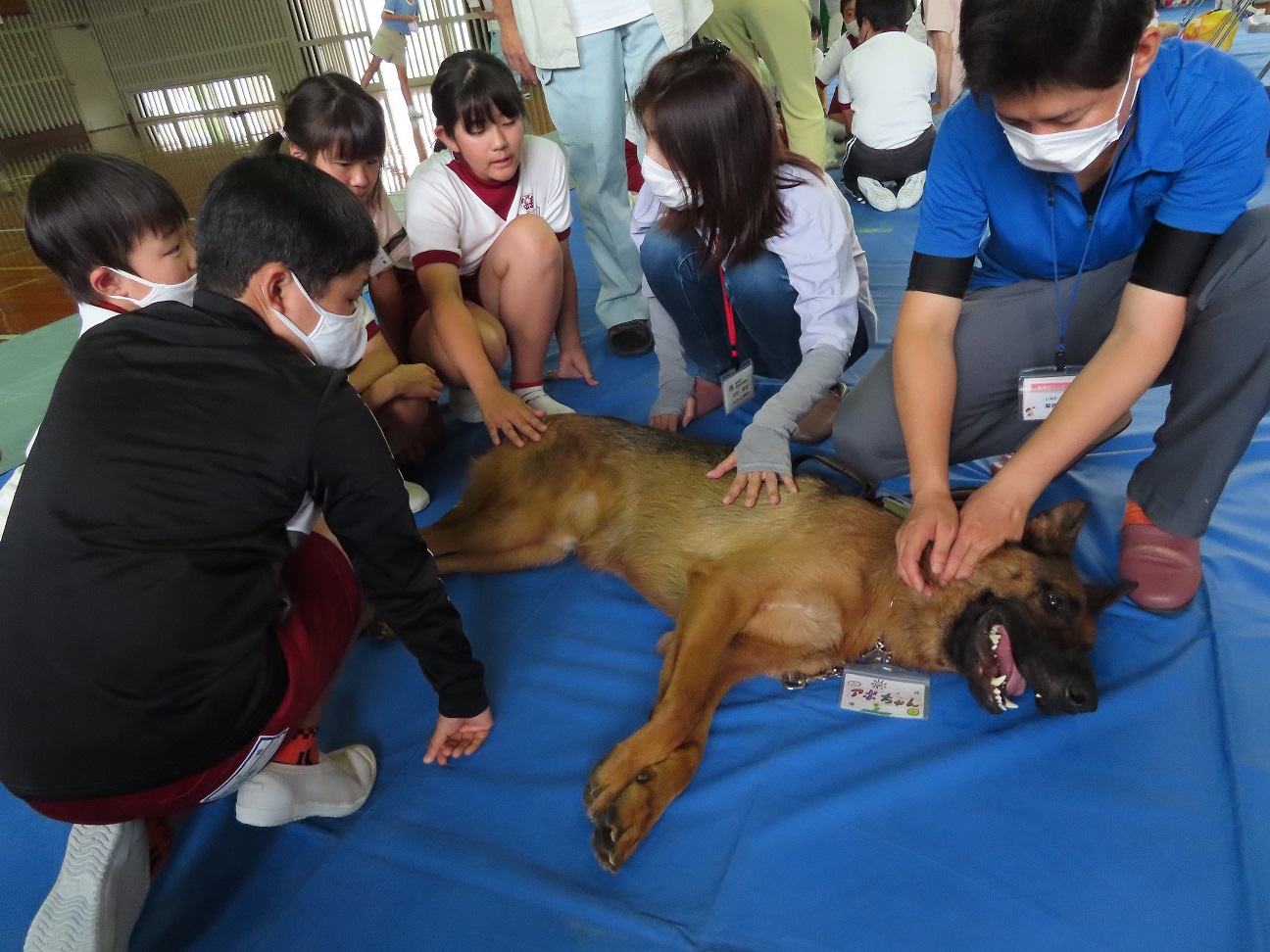 動物愛護教室 (