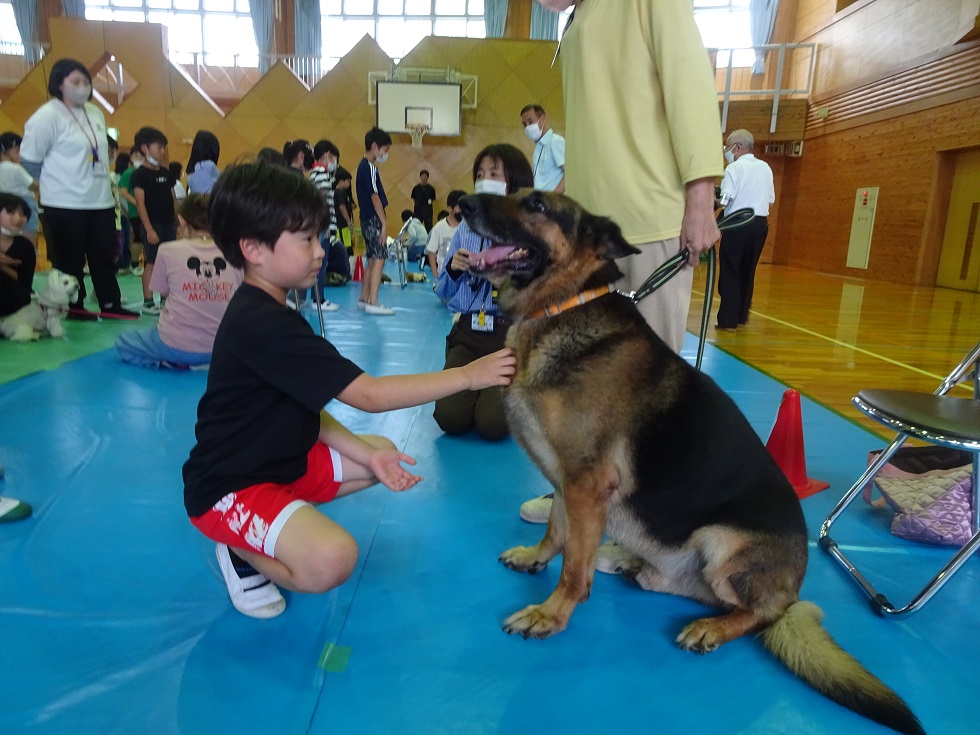 裾野東小 (3)