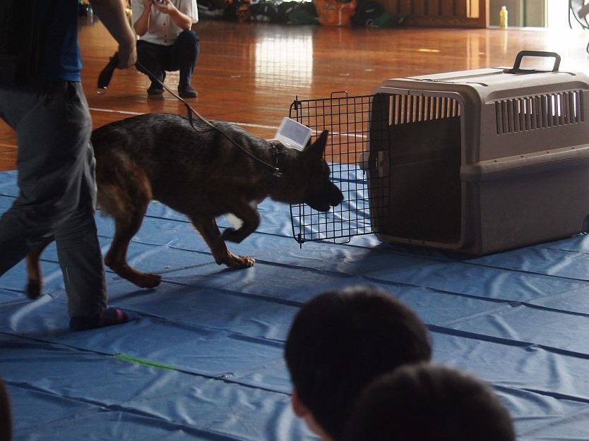 白須賀中 動物愛護教室 (2)