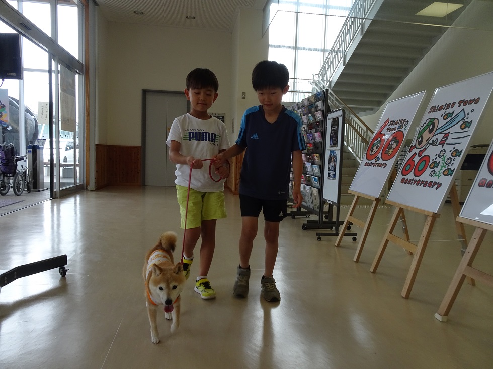 清水  (3)