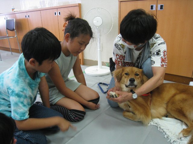 吉田３