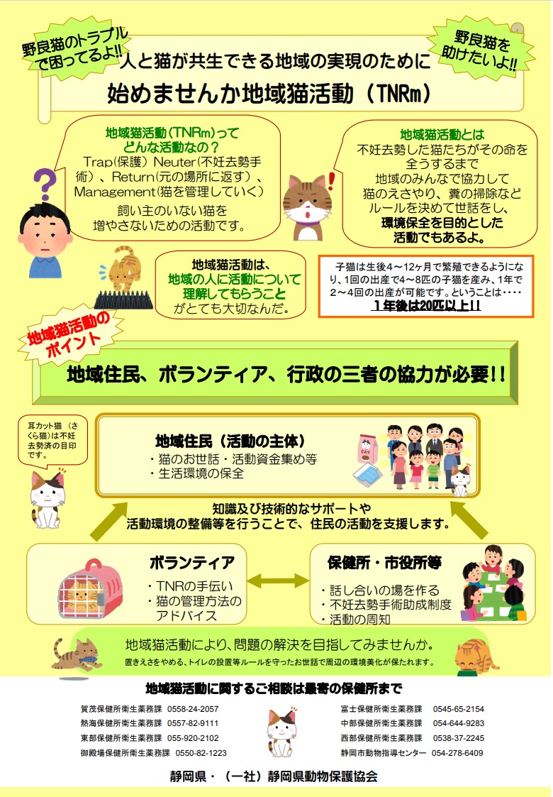TNRmチラシ