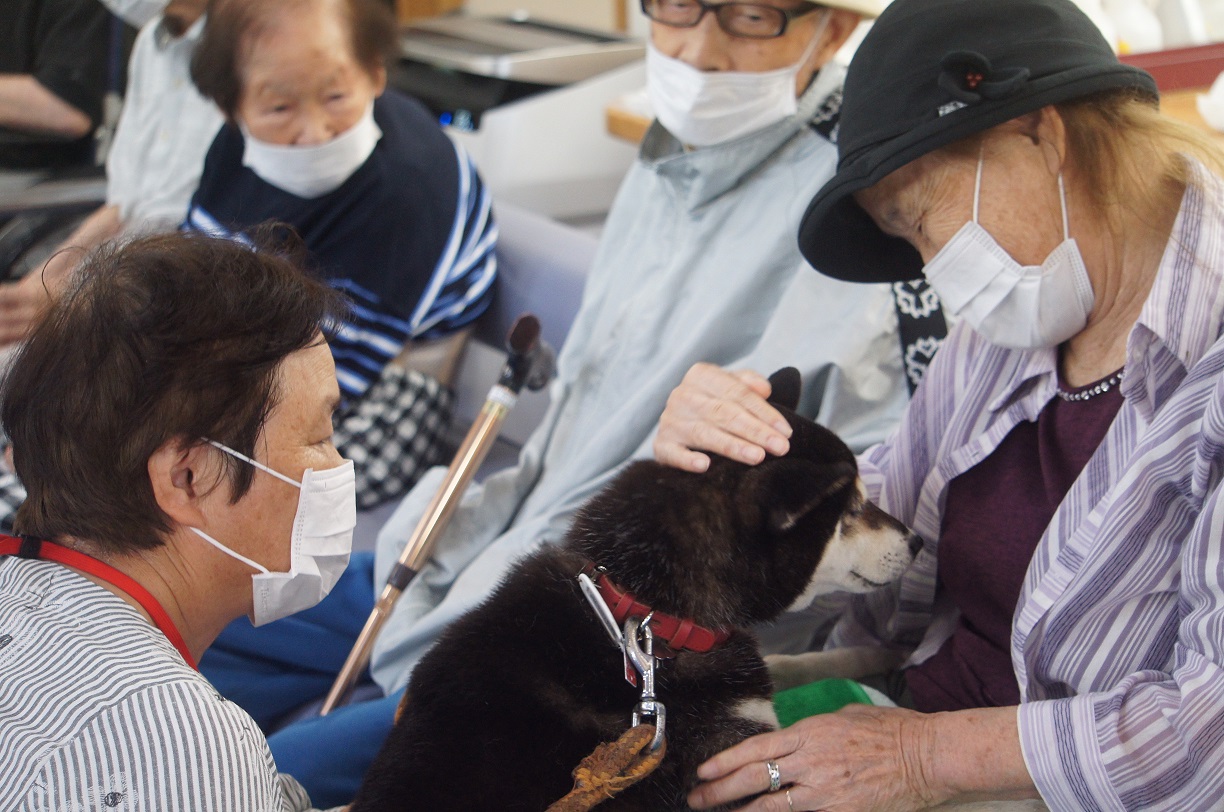 動物ふれあい訪問活動