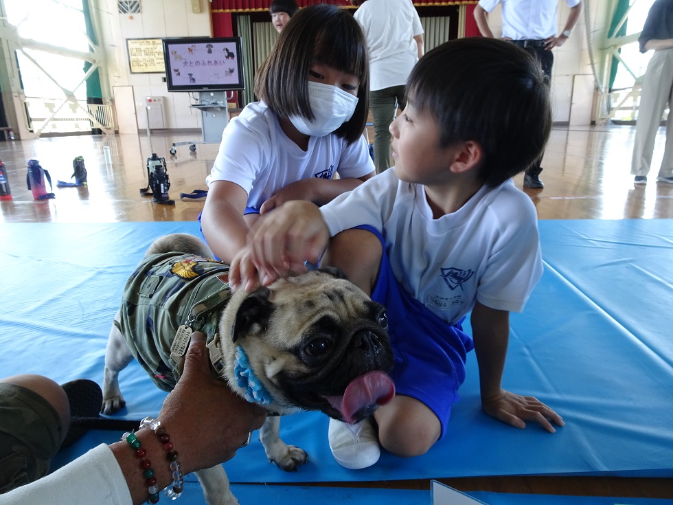 中伊豆小 (2)
