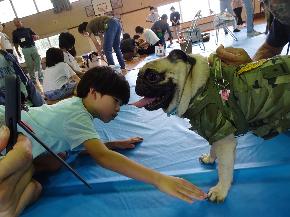 北上小 (3)