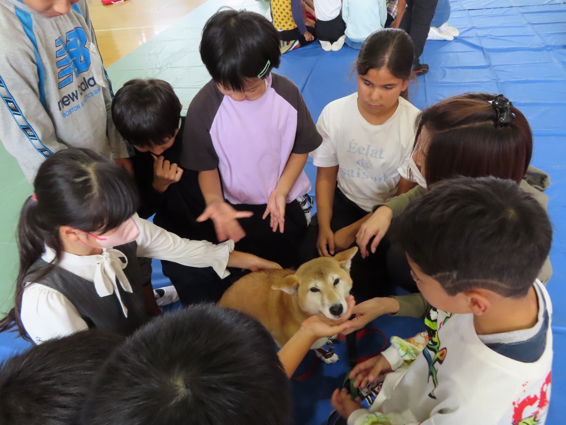 動物愛護教室