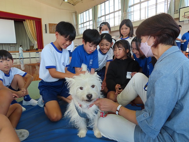 動物愛護教室