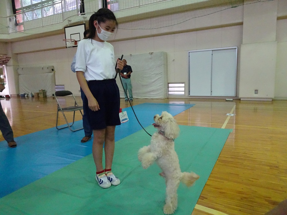 伊豆山小 (3)