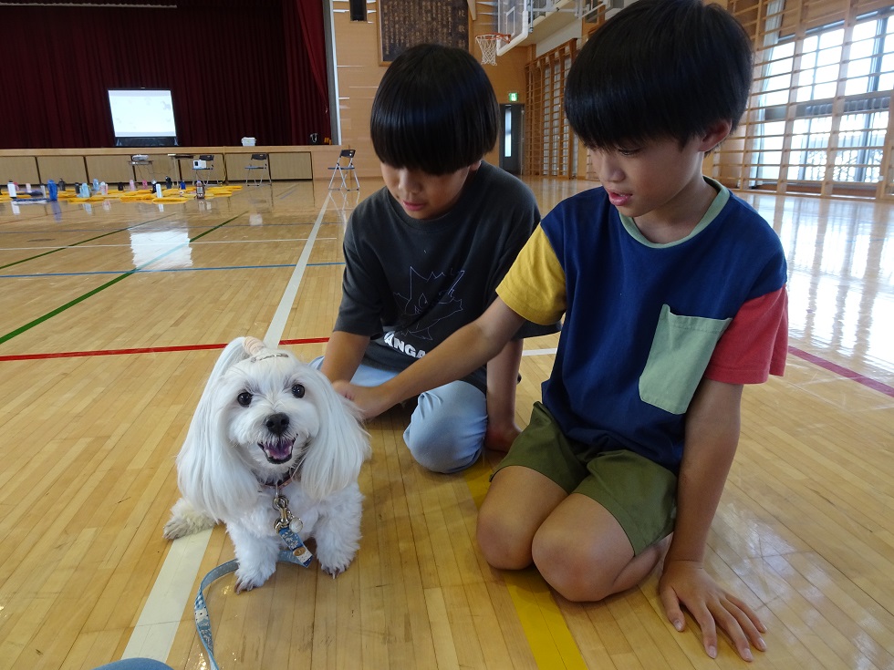 片浜小 (1)