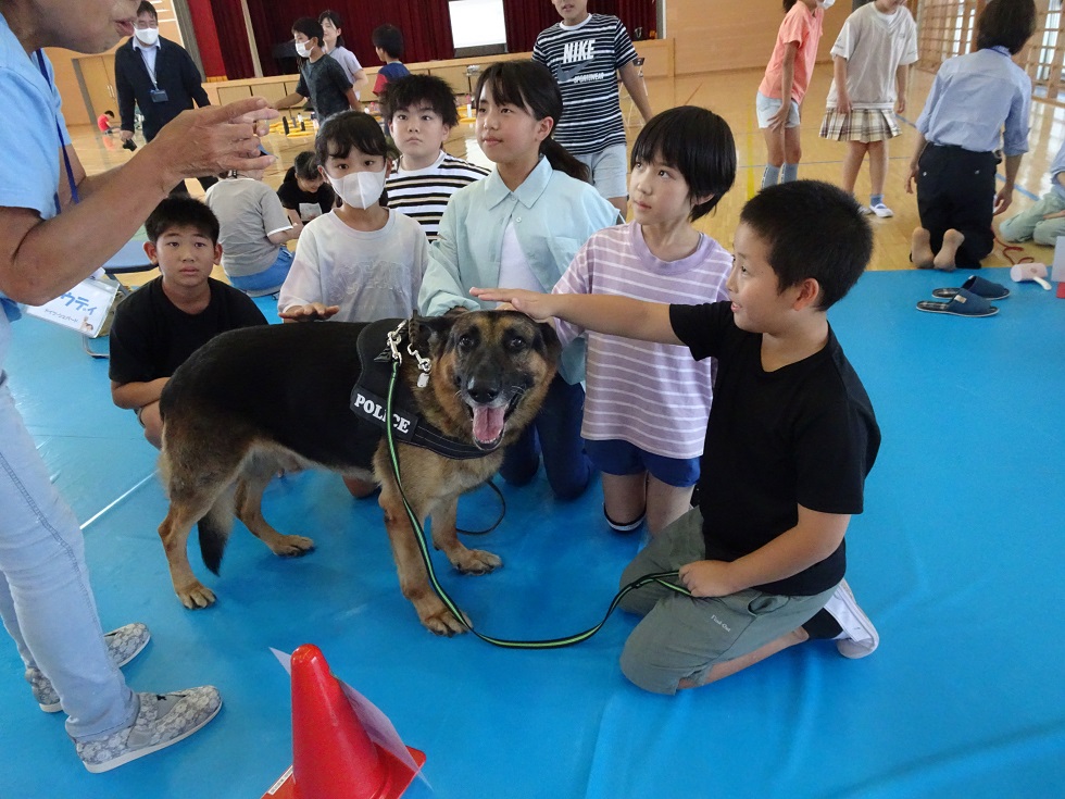 片浜小 (2)