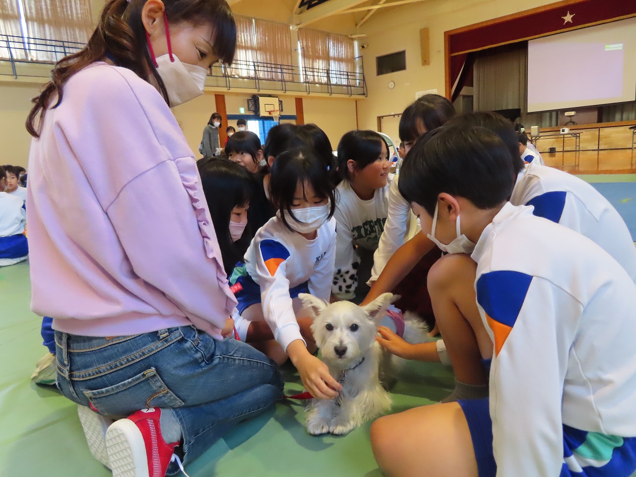 動物愛護教室 