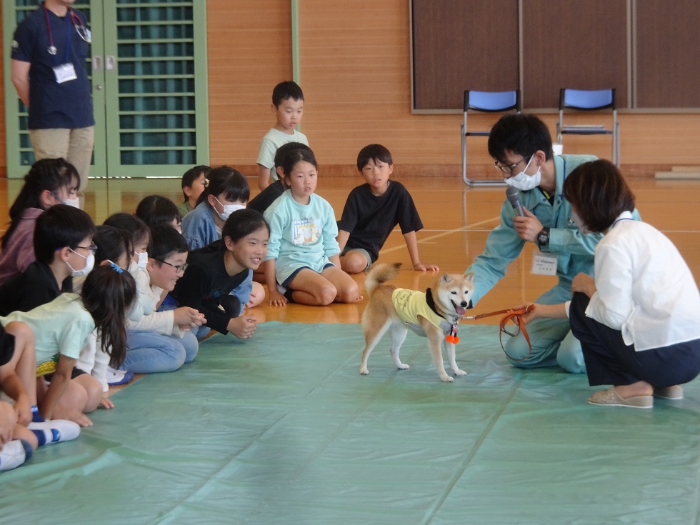 裾野南小学校 (3)