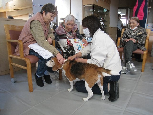 大井川睦園2