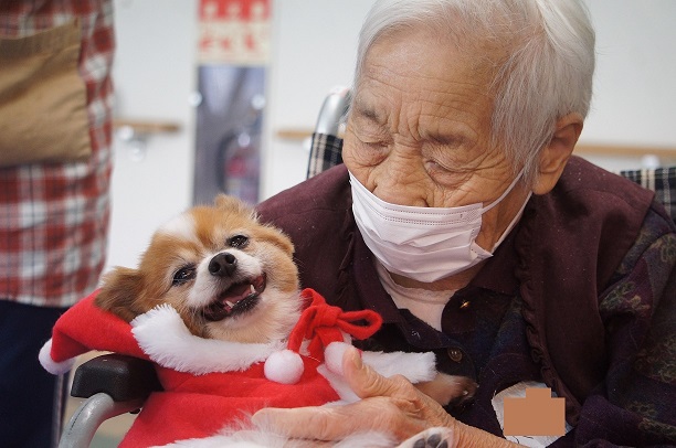 動物ふれあい訪問活動