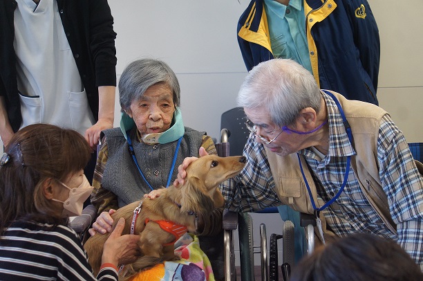 動物ふれあい訪問活動 (1)