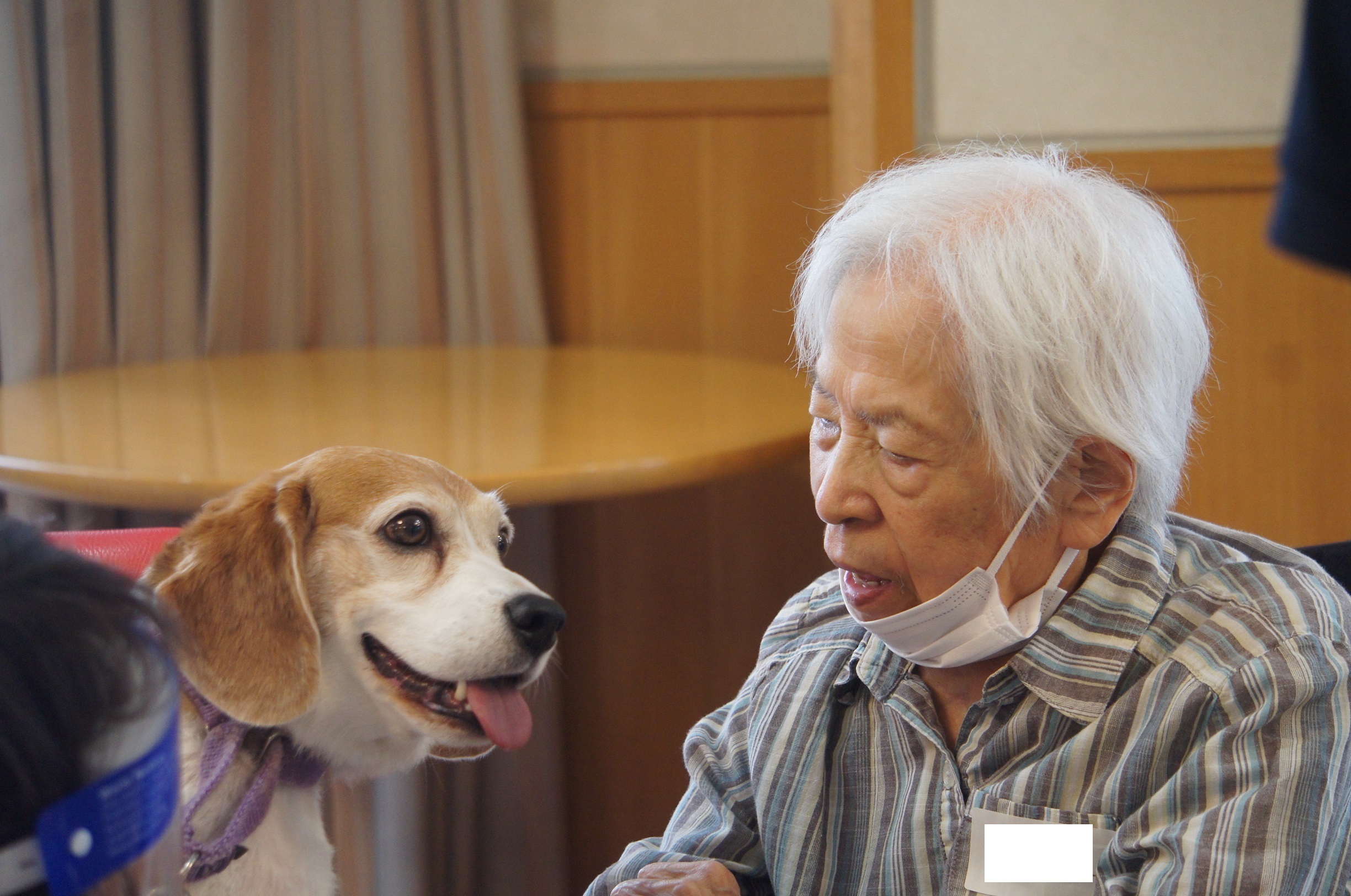 動物ふれあい訪問活動 