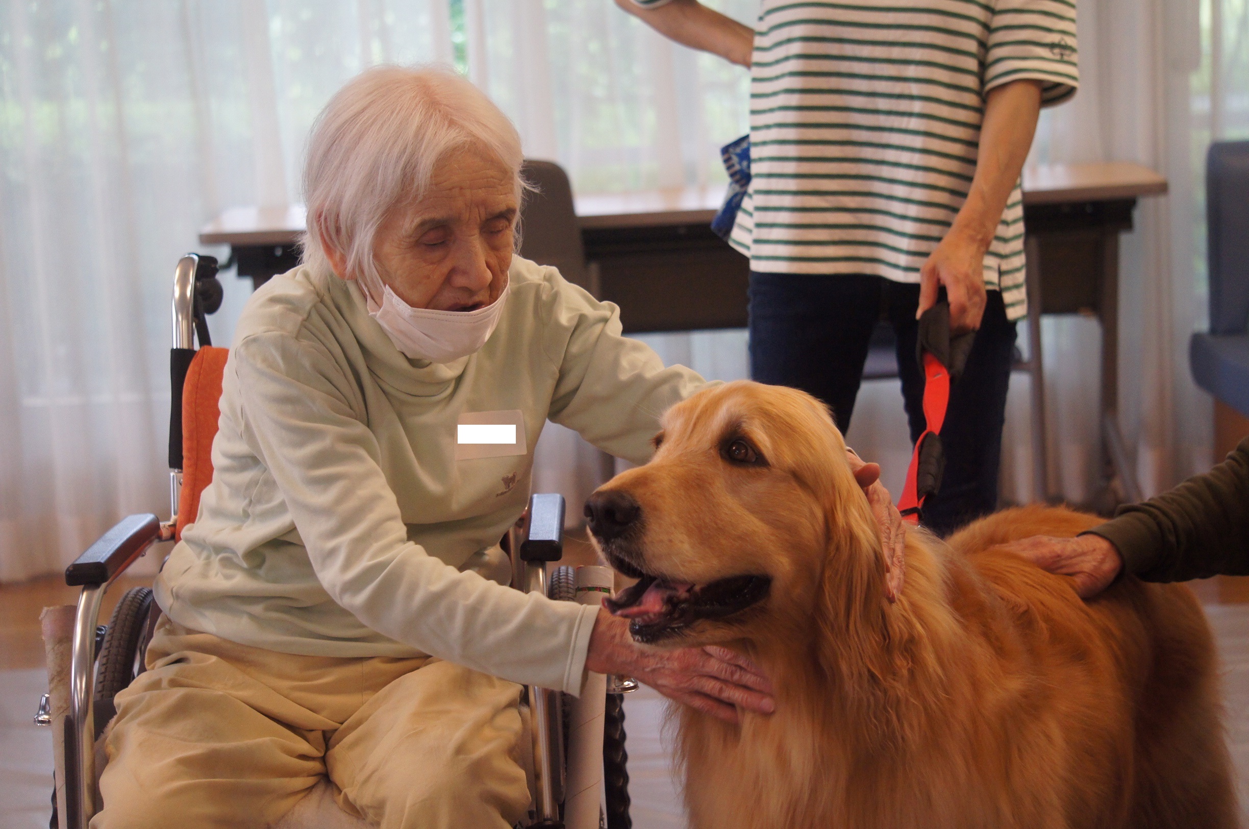 動物ふれあい訪問活動