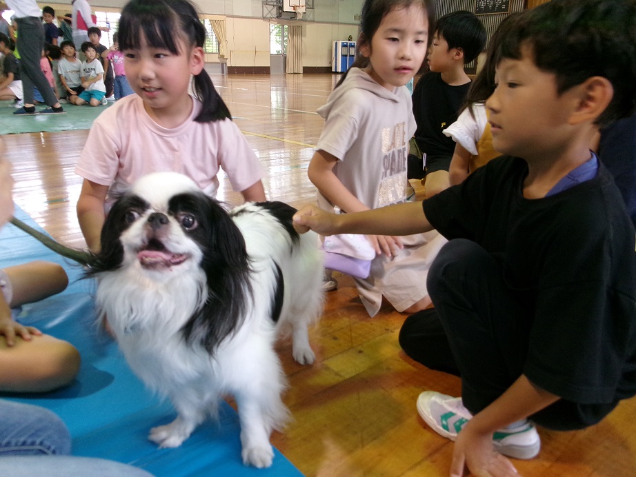 山田小 (4)