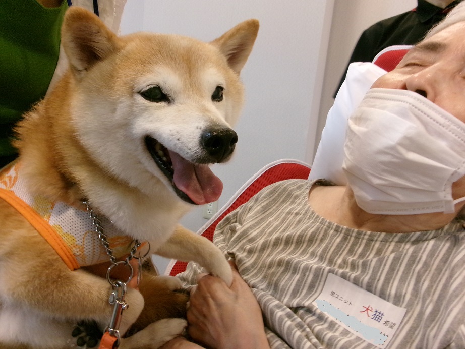 みどり