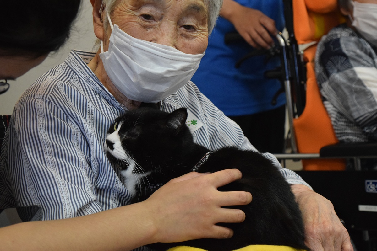 みどり (3)
