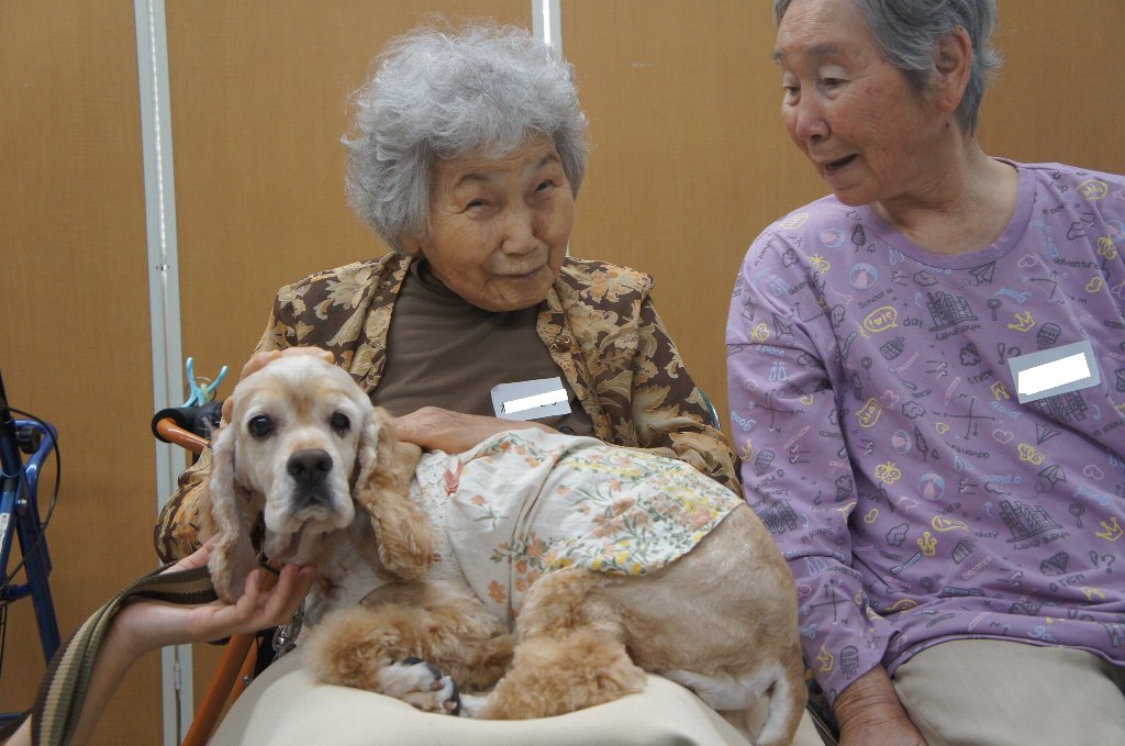 動物ふれあい訪問活動