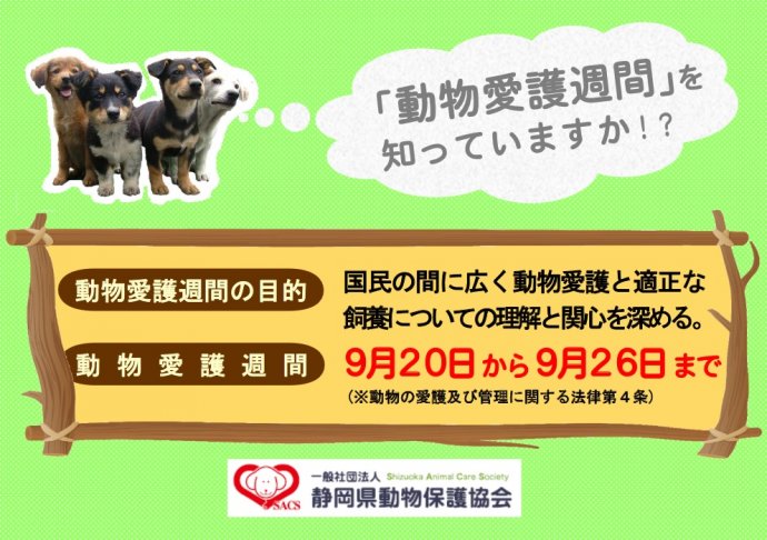チラシ 表