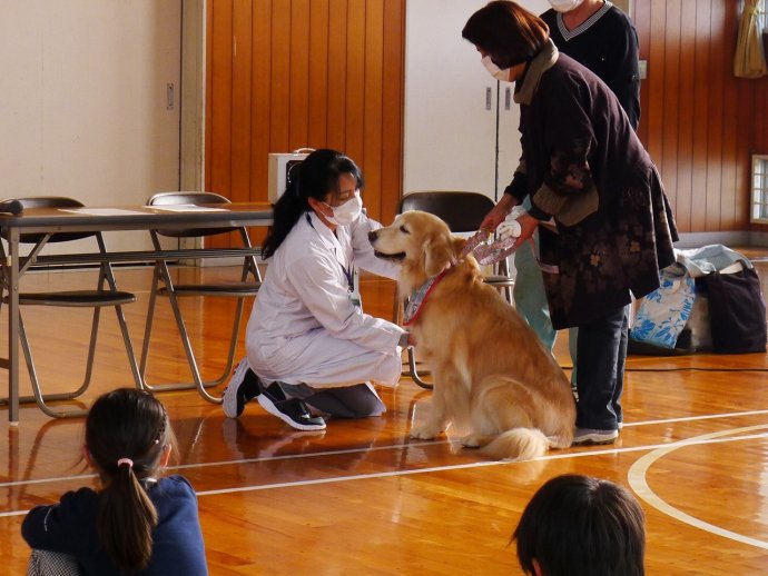 動物愛護教室
