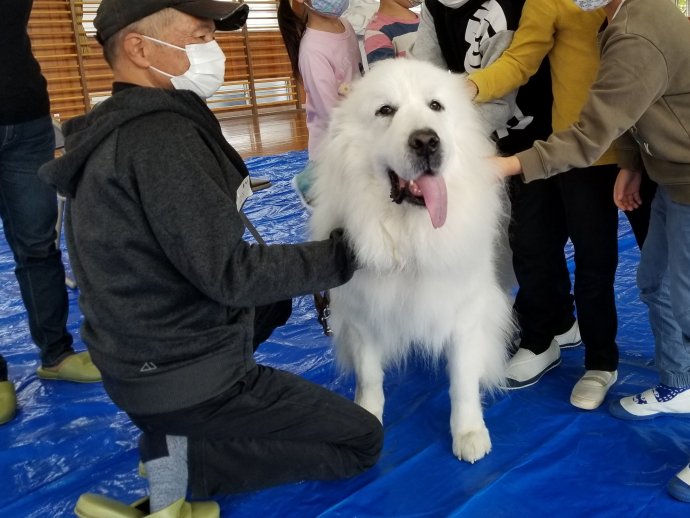 動物愛護教室