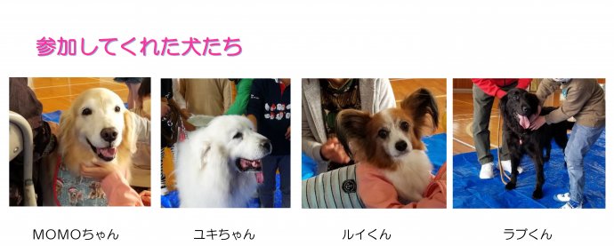 動物愛護教室