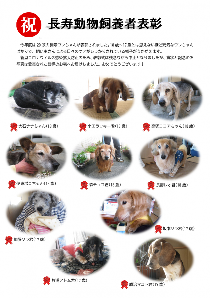 第3指導班 支部活動報告 一般社団法人 静岡県動物保護協会