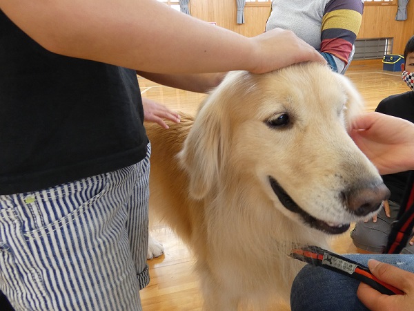 動物愛護教室　第２指導班