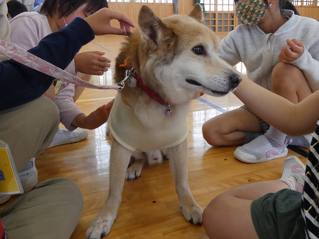 動物愛護教室　第２指導班