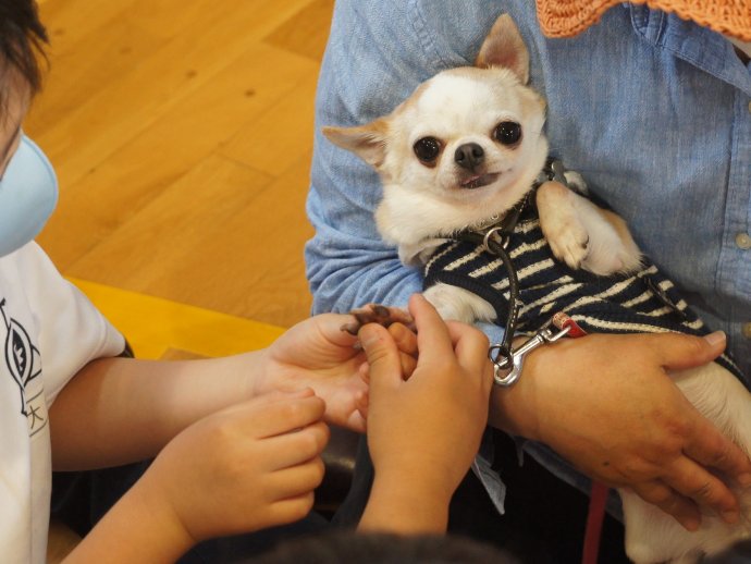 動物愛護教室　第２指導班
