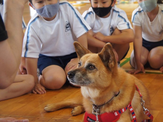 動物愛護教室　第２指導班