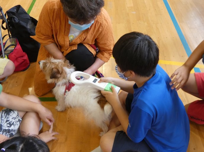動物愛護教室 第2指導班