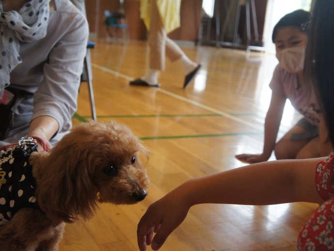 動物愛護教室 第2指導班