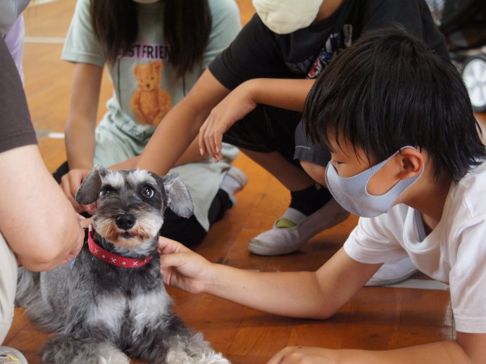 動物愛護教室　第２指導班