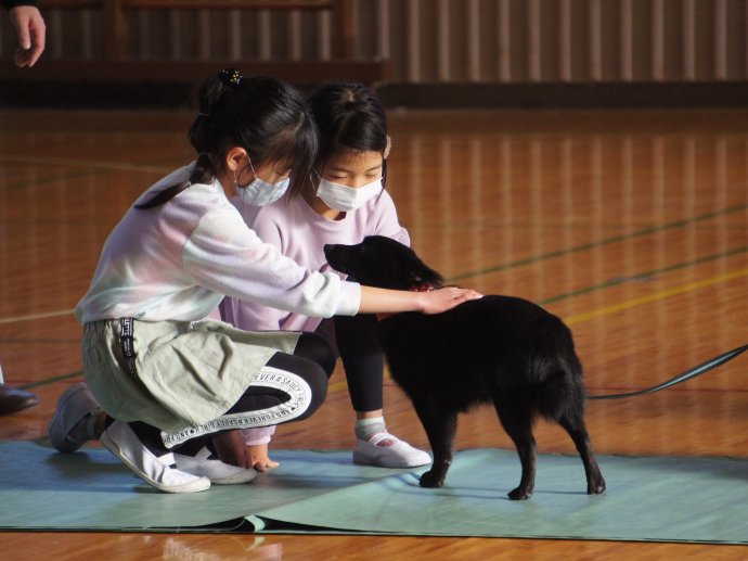 動物愛護教室