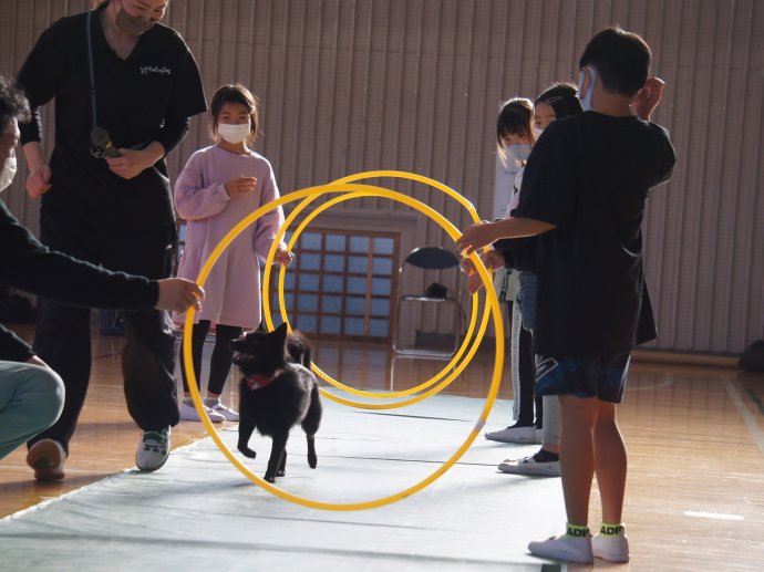 動物愛護教室